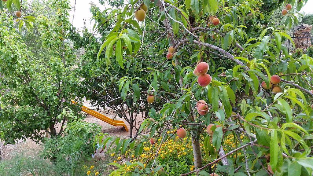 Masseria Ruri Pulcra Patu Luaran gambar